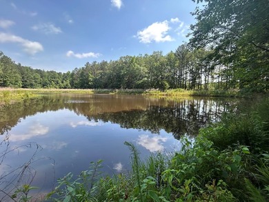 (private lake, pond, creek) Acreage For Sale in Carthage Mississippi