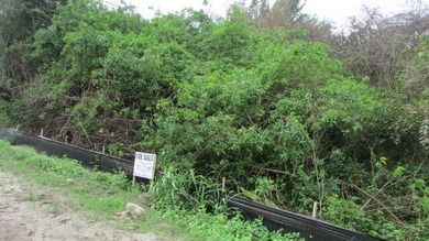 Waterfront Lot with Canal view 4.26 acres total area of lot 32 - photo 2