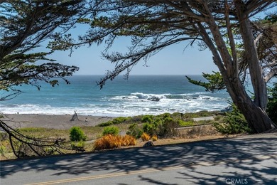 5752 Moonstone Beach - photo 17