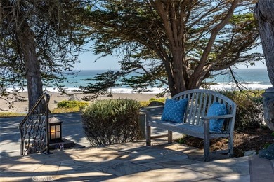 5752 Moonstone Beach - photo 48