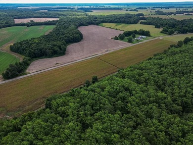 (private lake, pond, creek) Acreage For Sale in Tchula Mississippi