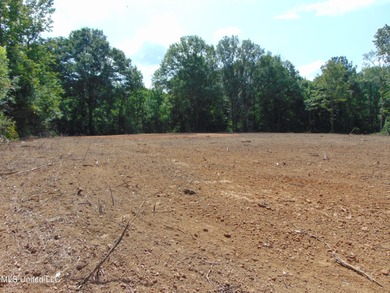 (private lake, pond, creek) Acreage For Sale in Wesson Mississippi