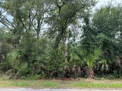 Discover the perfect place to build your Florida dream home on - photo 3