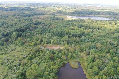 (private lake, pond, creek) Acreage For Sale in Attica Michigan
