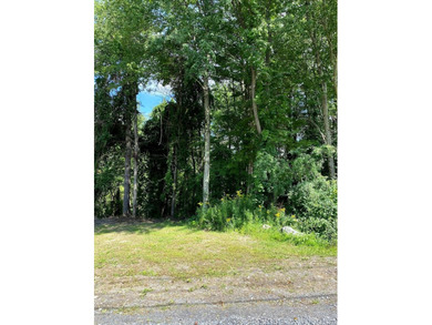 (private lake, pond, creek) Acreage For Sale in Egremont Massachusetts