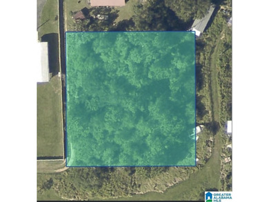 A rare opportunity to own 0.70 acres of undeveloped land on - photo 1