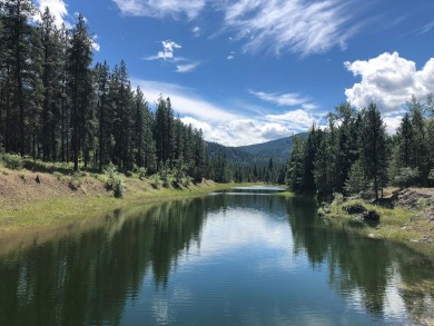 Lake Acreage For Sale in Northport, Washington