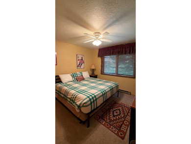 HUGE PRICE REDUCTION!!! This investment property is short-term - photo 13