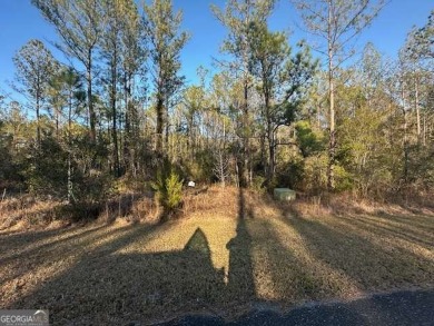 Lake Acreage For Sale in White Oak, Georgia