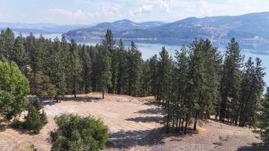 Lake Acreage For Sale in Kettle Falls, Washington