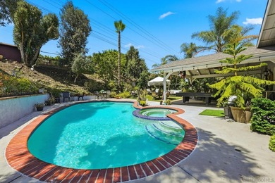 Pickleball anyone? Welcome to this beautifully updated home with - photo 38