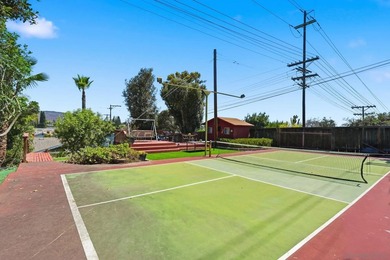 Pickleball anyone? Welcome to this beautifully updated home with - photo 39