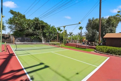 Pickleball anyone? Welcome to this beautifully updated home with - photo 40