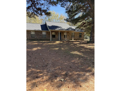 (private lake, pond, creek) Home For Sale in Nashville Arkansas