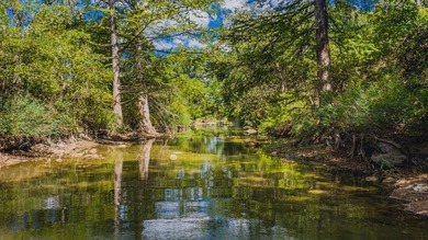 In the heart of the Texas Hill Country Wine Trail, this - photo 50