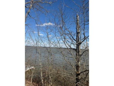 WEISS LAKE, GORGEOUS VIEWS, YEAR ROUND DEEP WATER IN COWAN - photo 2