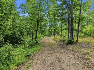 Rarely do you find a property that offers nearly 29 acres - photo 2