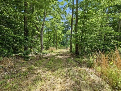 Rarely do you find a property that offers nearly 29 acres - photo 3