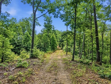 Rarely do you find a property that offers nearly 29 acres - photo 4