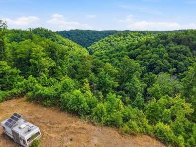 Rarely do you find a property that offers nearly 29 acres - photo 5