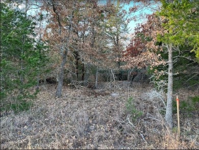 This lot sits at the end of Shady Oaks Lane, with mature trees - Lake Lot For Sale in Somerville, Texas