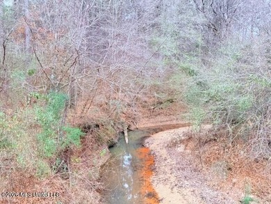 42 Acres of wooded creek front property located on Busy Corner - photo 1