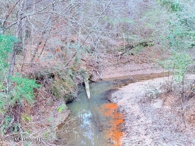 42 Acres of wooded creek front property located on Busy Corner - photo 2
