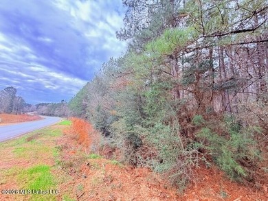 42 Acres of wooded creek front property located on Busy Corner - photo 3