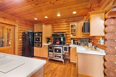 Exquisite Lakefront Log Retreat on Lake Santeetlah. Discover the - photo 24