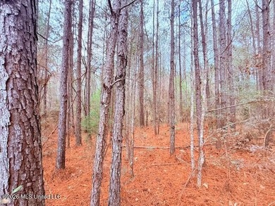42 Acres of wooded creek front property located on Busy Corner - photo 5