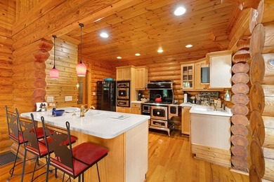Exquisite Lakefront Log Retreat on Lake Santeetlah. Discover the - photo 26