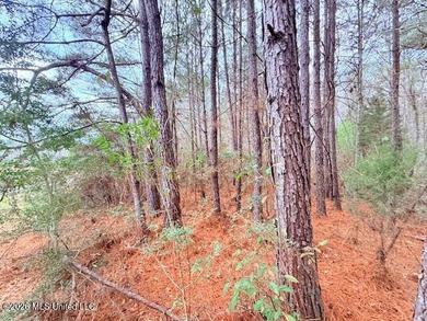42 Acres of wooded creek front property located on Busy Corner - photo 6