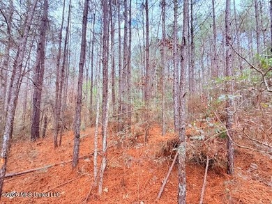 42 Acres of wooded creek front property located on Busy Corner - photo 7