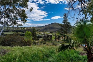 26086-89 Bear Valley Heights Rd - photo 27