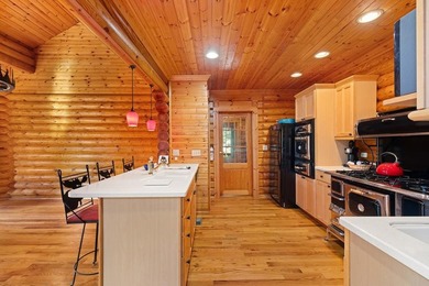 Exquisite Lakefront Log Retreat on Lake Santeetlah. Discover the - photo 28