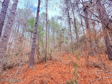 42 Acres of wooded creek front property located on Busy Corner - photo 8