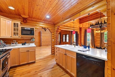 Exquisite Lakefront Log Retreat on Lake Santeetlah. Discover the - photo 30