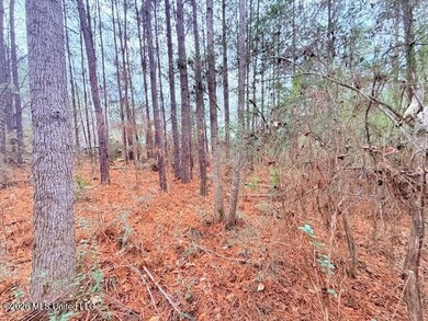 42 Acres of wooded creek front property located on Busy Corner - photo 10