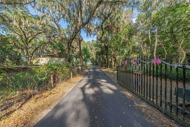 Tucked away on beautiful Lake Weir, this charming gated - photo 46