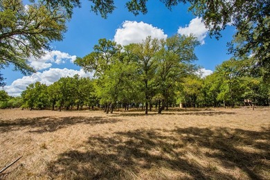 In the heart of the Texas Hill Country Wine Trail, this - photo 48