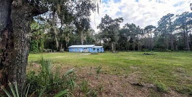 Lake George Home For Sale in Georgetown Florida