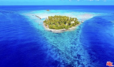 Motu Fara is an extraordinary private island estate set within - photo 1