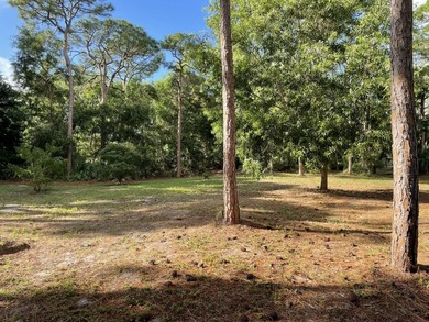 Rare opportunity to own a secluded 1 acre residential lot in - photo 8