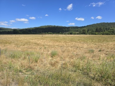 Lake Acreage For Sale in Colville, Washington