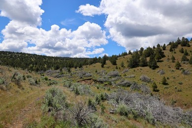 This Eastern Oregon Ranch is rich in heritage and natural beauty - photo 11