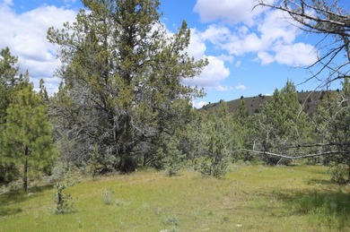This Eastern Oregon Ranch is rich in heritage and natural beauty - photo 12