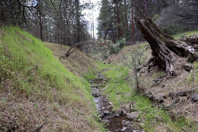 This Eastern Oregon Ranch is rich in heritage and natural beauty - photo 13