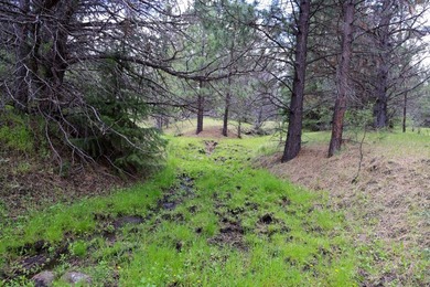 This Eastern Oregon Ranch is rich in heritage and natural beauty - photo 14