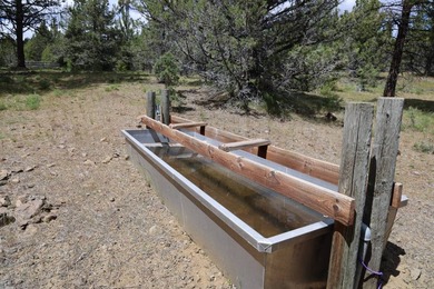 This Eastern Oregon Ranch is rich in heritage and natural beauty - photo 16