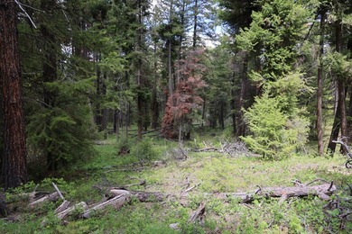 This Eastern Oregon Ranch is rich in heritage and natural beauty - photo 19